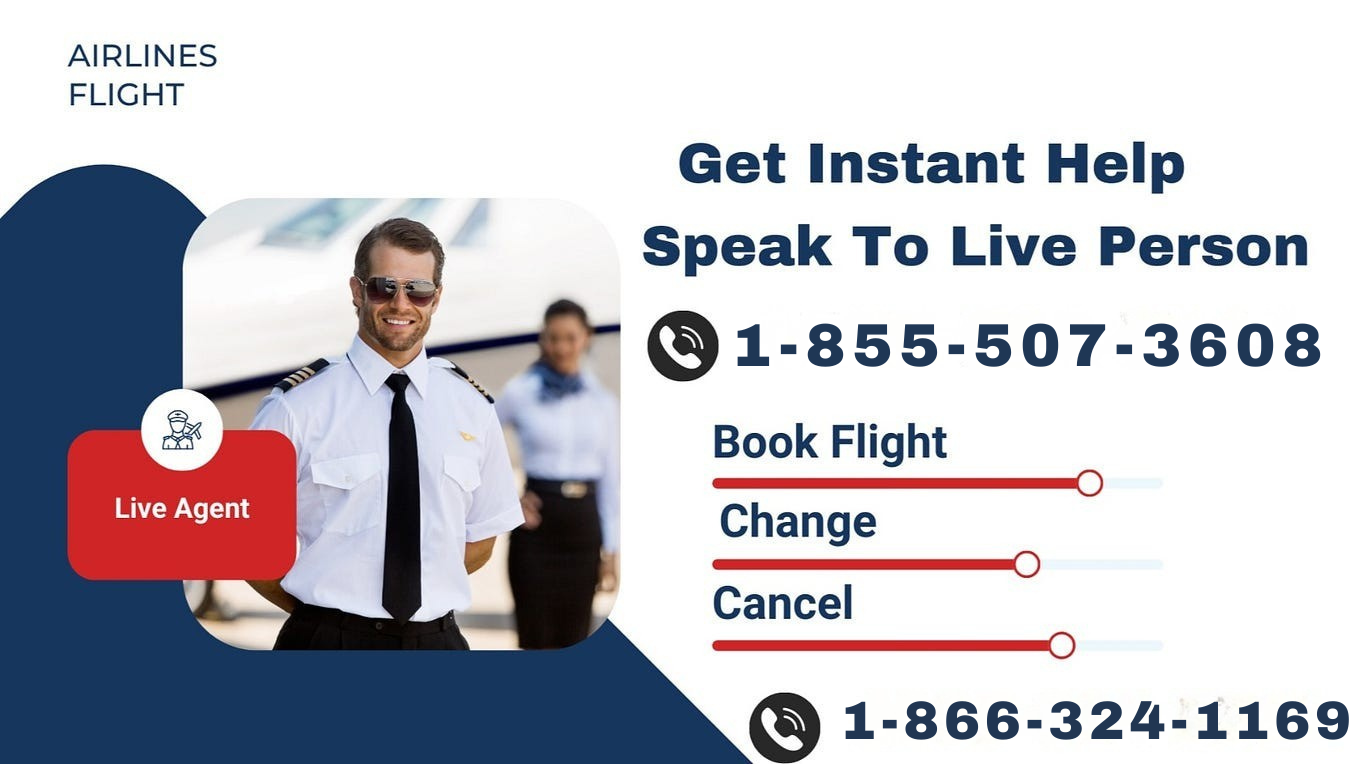 ð•¬ð–›ð–Šð–‘ð–” ð•¬ð–Žð–—ð–‘ð–Žð–“ð–Šð–˜â„¢ Customer Service USA | Official Help & 24/7 Assistance Guide - YouTube